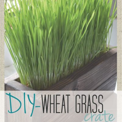 DIY- Wheat grass Crate {Part 1}