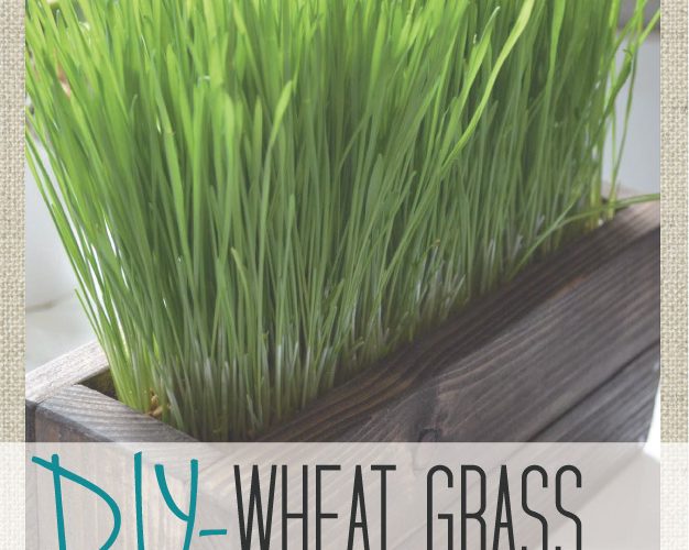 DIY- Wheat grass Crate {Part 1}