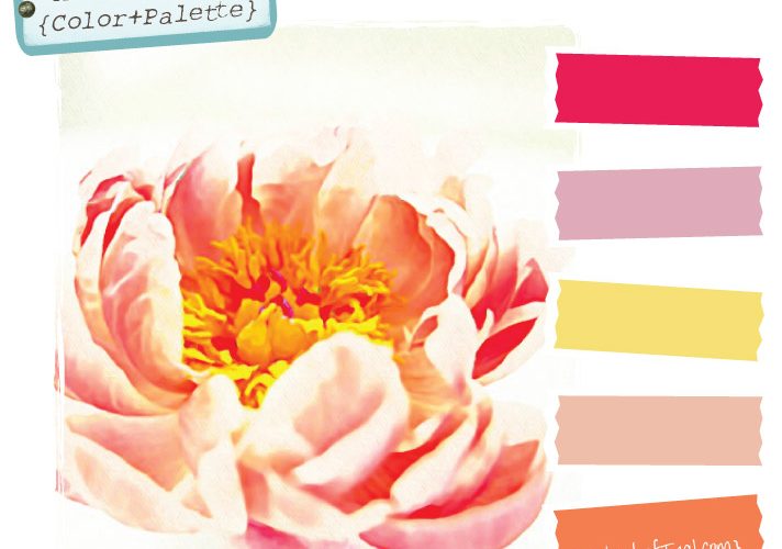 Color Palette {Peony}