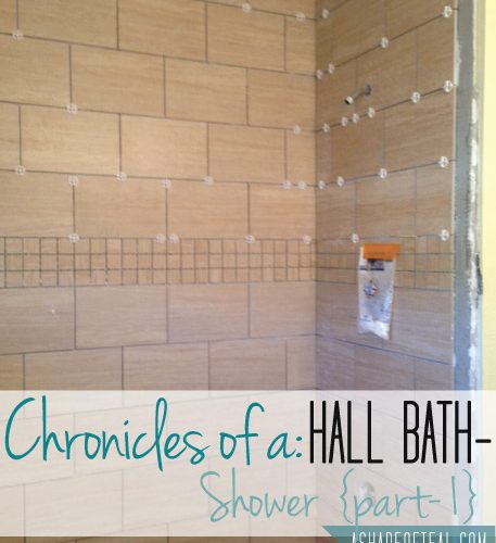 Hall Bath Chronicles- Shower Pt1