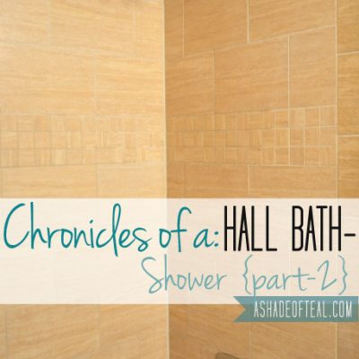 Hall Bath Chronicles- Shower Pt2