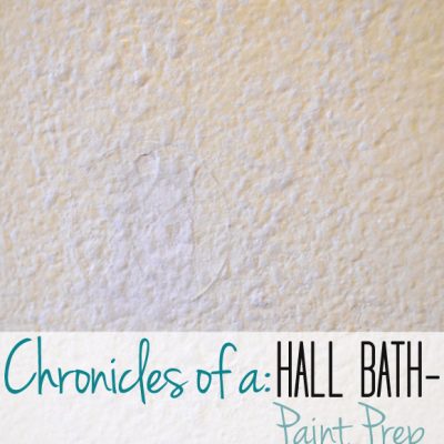 Hall Bath Chronicles- Paint Prep