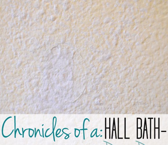 Hall Bath Chronicles- Paint Prep