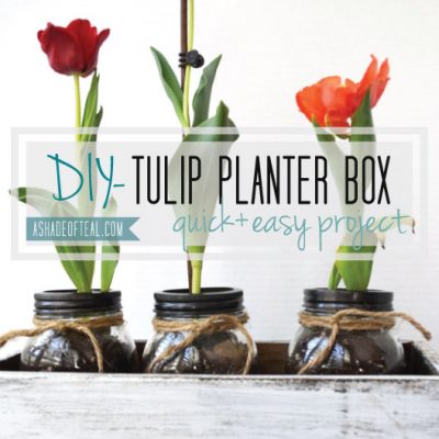 DIY- Tulip Box