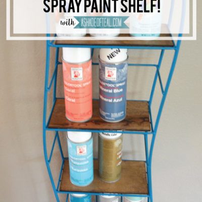 DIY- Old CD/DVD Tower turned Spray Paint Shelf