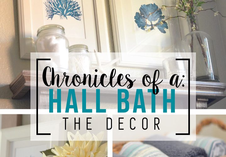 Hall Bath Chronicles- Decor