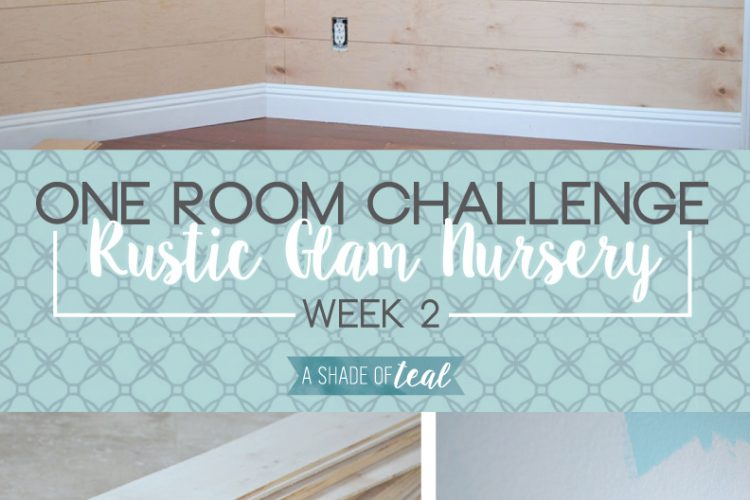 Rustic Glam Nursery {One Room Challenge}, Week-2