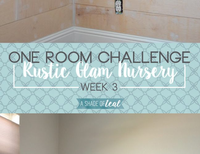 Rustic Glam Nursery {One Room Challenge}, Week-3