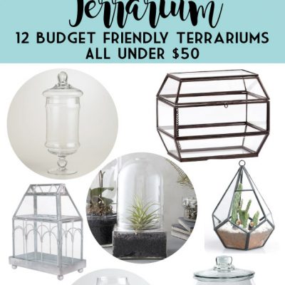 Build your own Terrarium with these 12 Budget Friendly Terrariums!