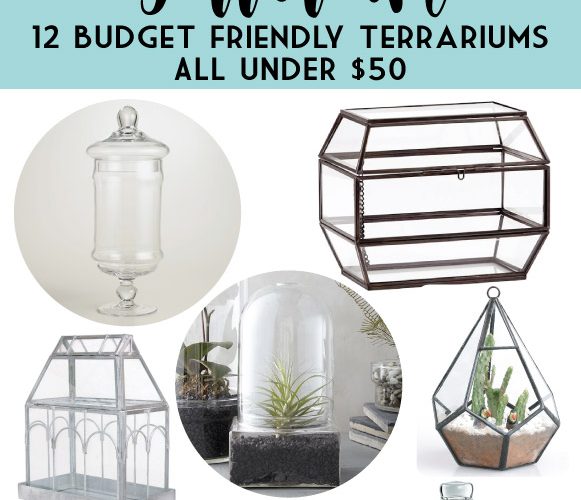 Build your own Terrarium with these 12 Budget Friendly Terrariums!