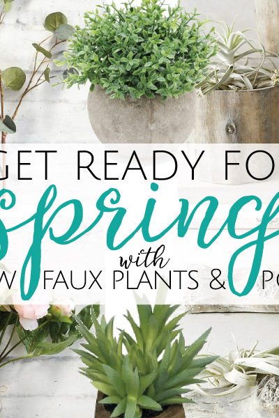 Get Ready for Spring with new Plants!