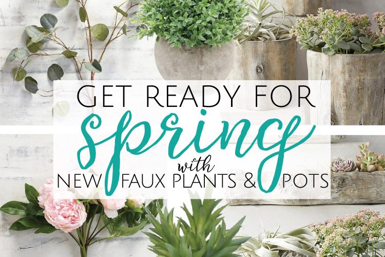 Get Ready for Spring with new Plants!