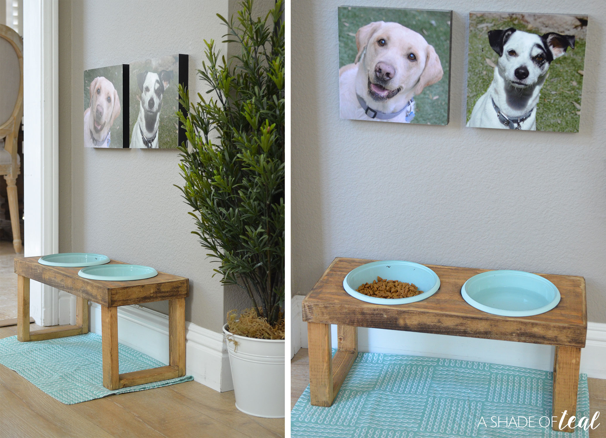 Dog Bowl Stand Elevated Dog Food Stand Raised Dog Feeder Modern