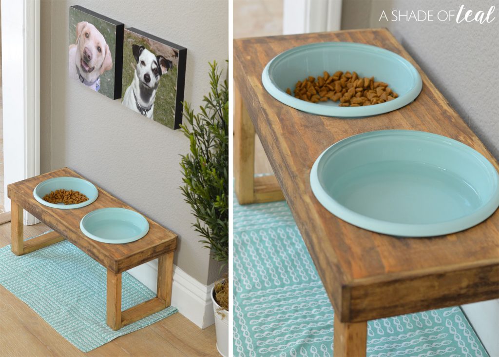 How to Make a Raised Dog Feeder