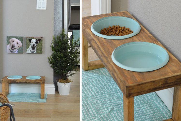 How to Make a Raised Dog Feeder