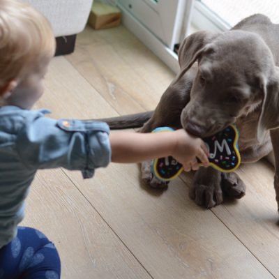 Giggles and Wiggles! How to Introduce your Baby & Puppy