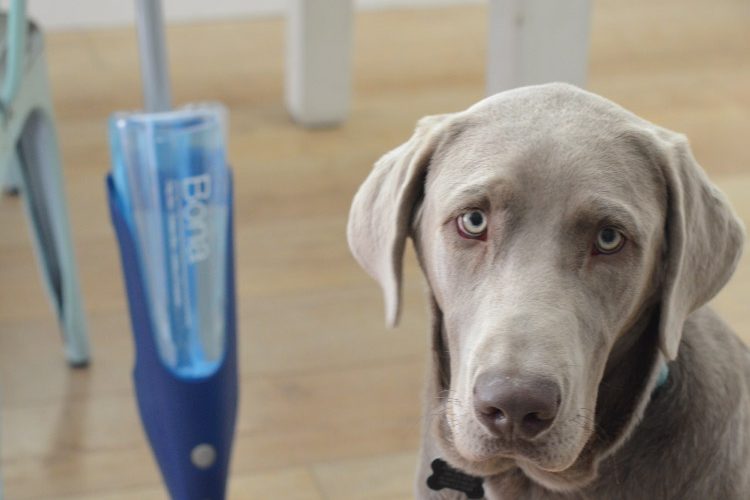 Wonderful Together! How to Quickly Clean Your Wood Floors.