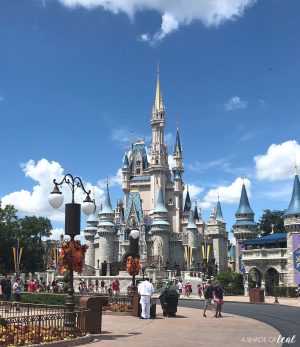 What I Learned From My First Visit To Disney World