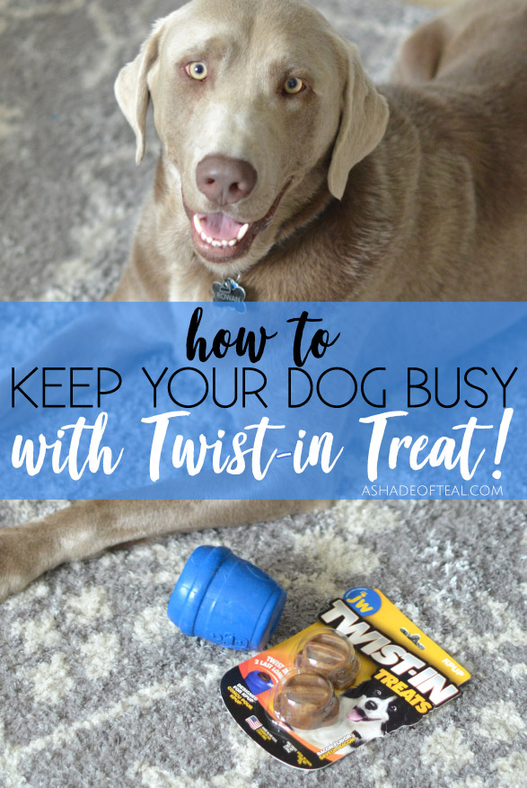 Keep Your Dog Busy, with a Twist!