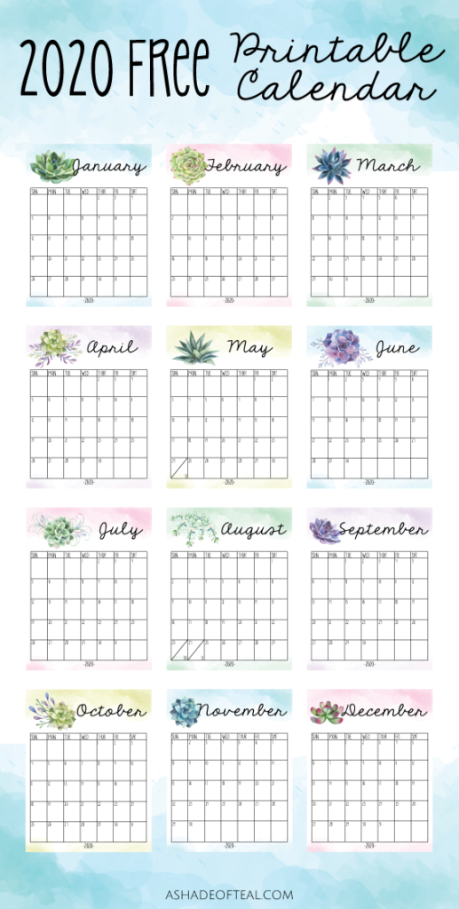 Free 2020 Watercolor Succulent Calendar