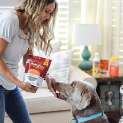 5 Pet Products to Make Life with Your Pup Easier