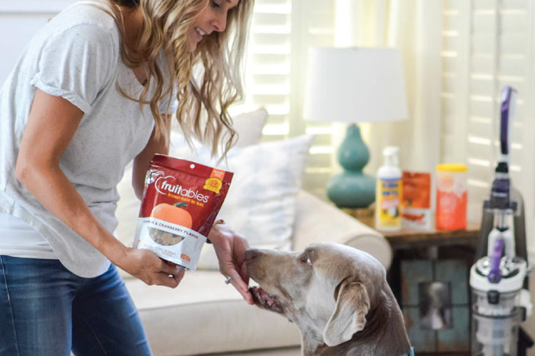 5 Pet Products to Make Life with Your Pup Easier