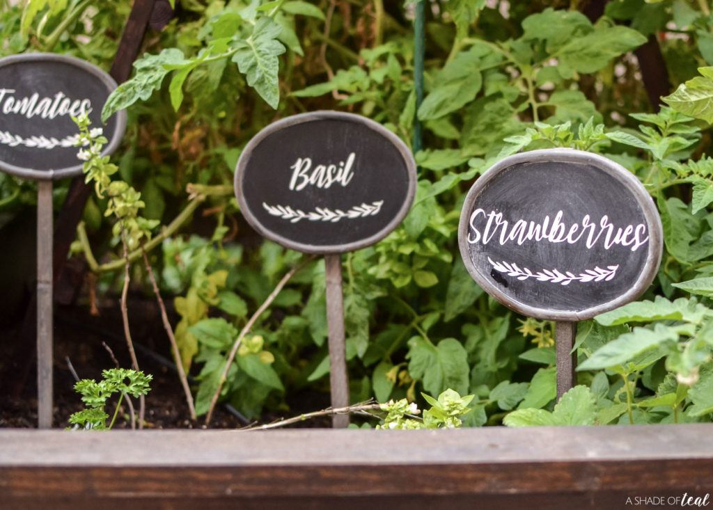 10 Of The Best Beginner Projects Using Your Cricut