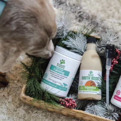 Holiday Pet Gift Guide with Doggie Dailies